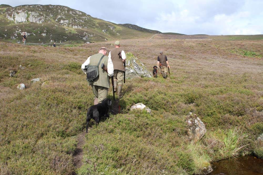 Jægere på grouse jagt i Skotland