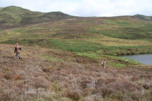 Skotsk højland - Perfekt til grouse jagt