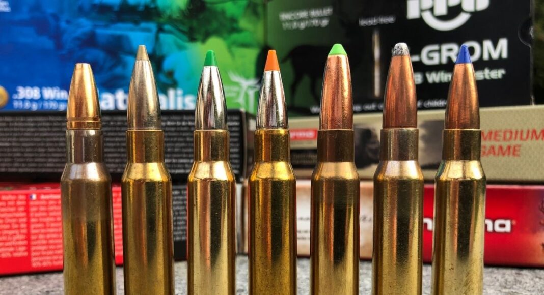 blyfri jagtammunition test