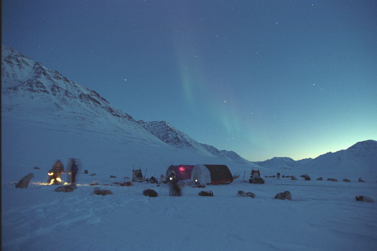 Nordlyset over teltlejr på vinterjagten