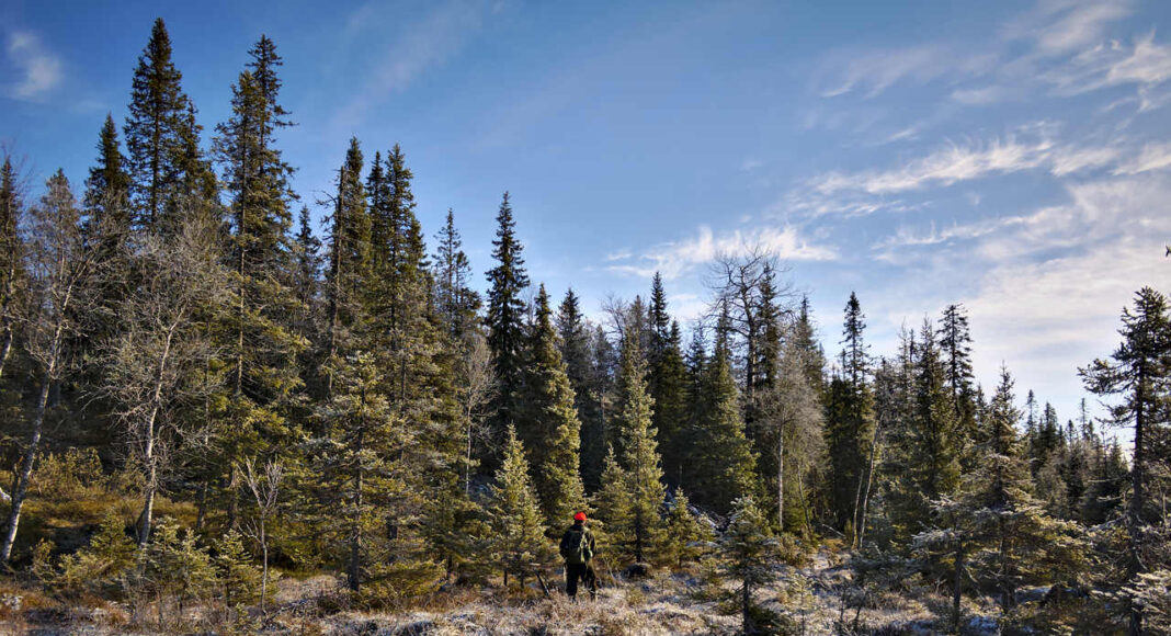 Smukke natur i Finland