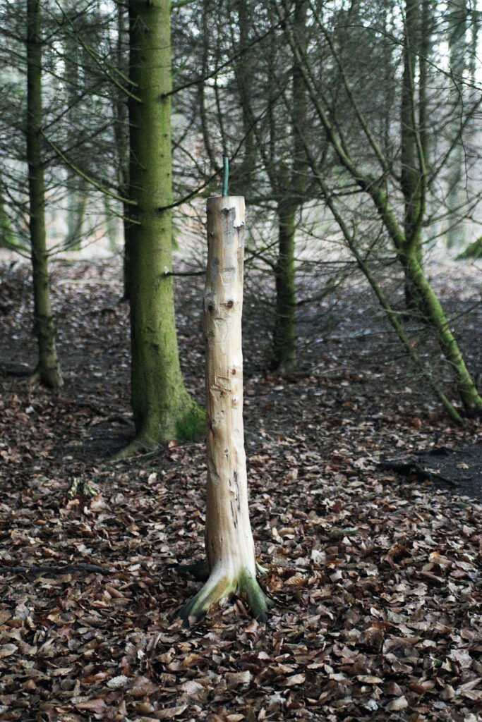 Sliksten kan opsættes på en gammel træstamme i den rigtige højde