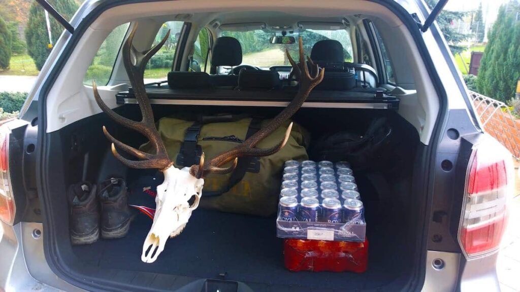 Stort bagagerum i Subaru Forester 2.0