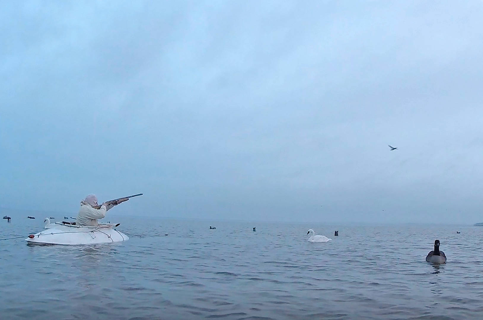 strandjagt-i-januar-jagt-vildt-v-ben